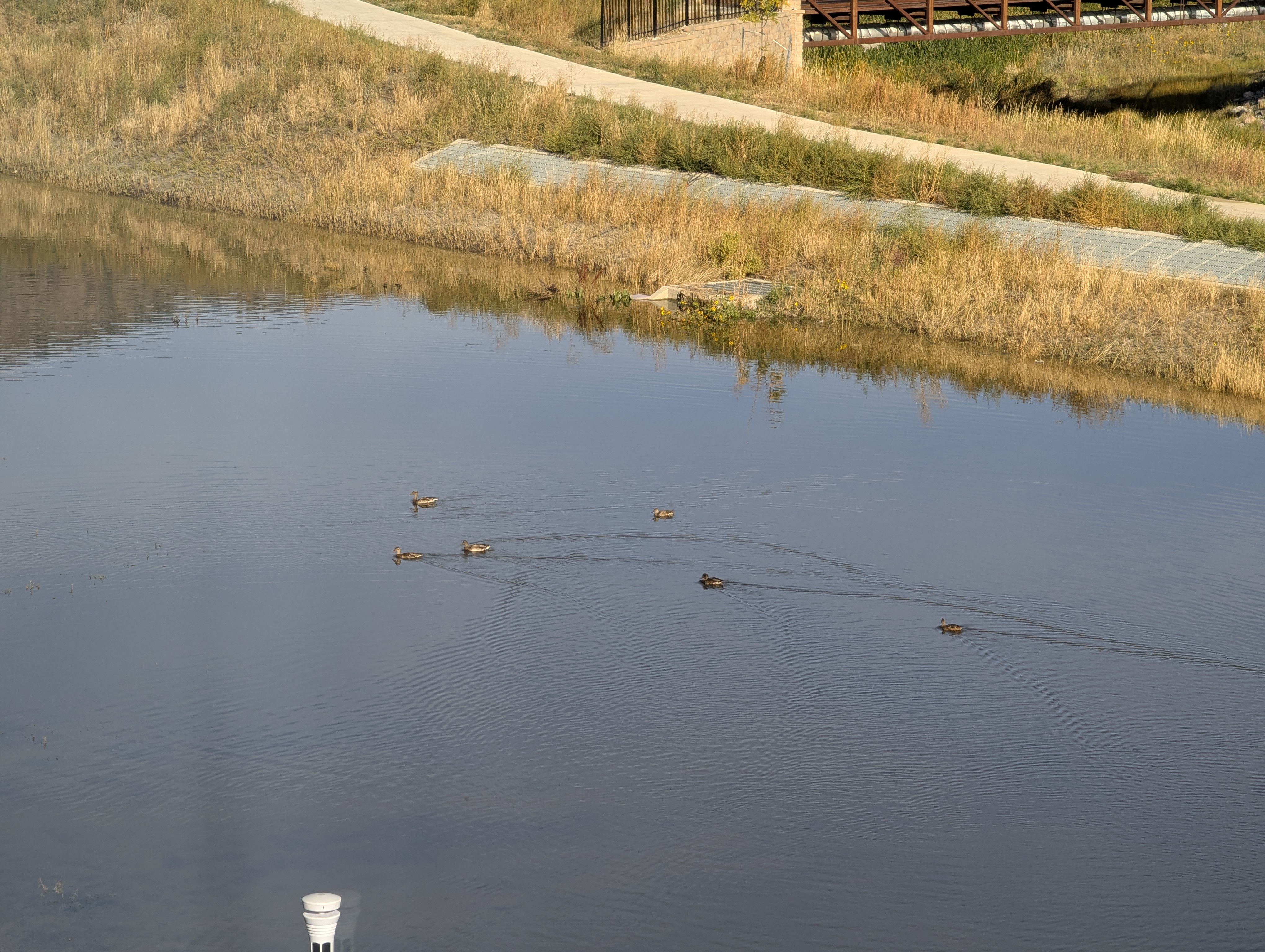 Duck Pond, Morrison, Colorado